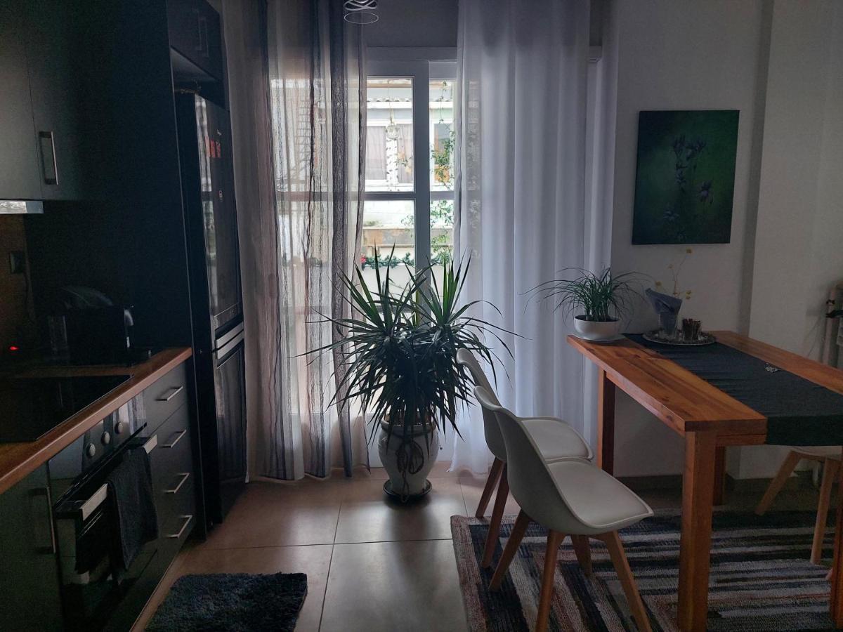 Dream Apartment Athènes Extérieur photo